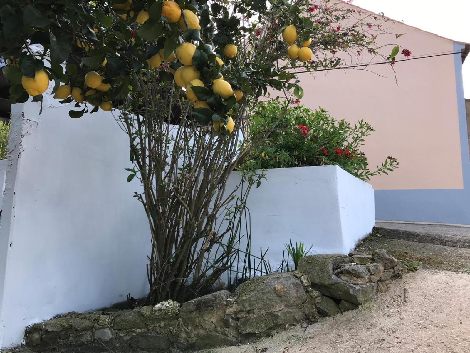 Casas Bemposta Monchique Exterior foto