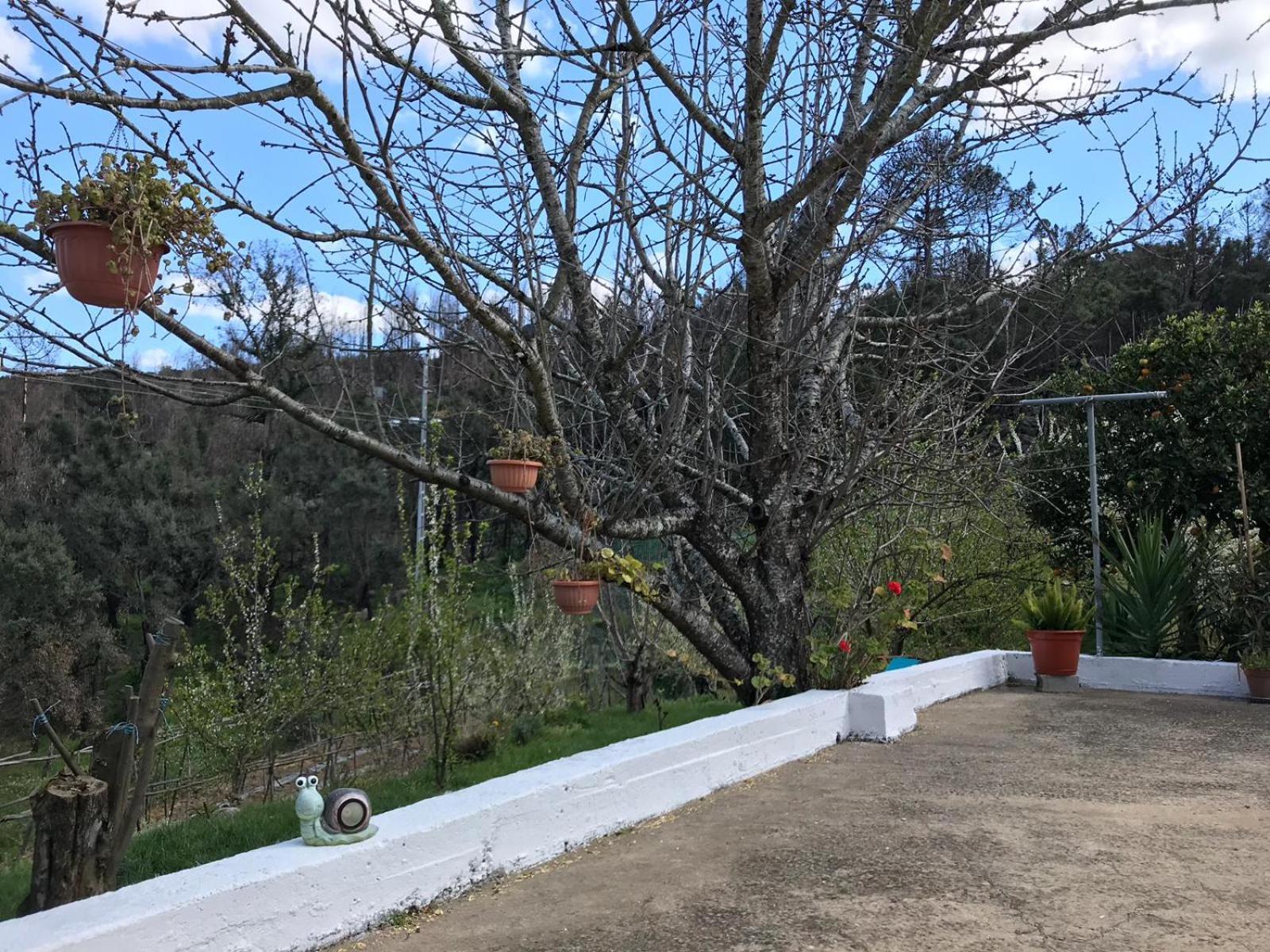 Casas Bemposta Monchique Exterior foto