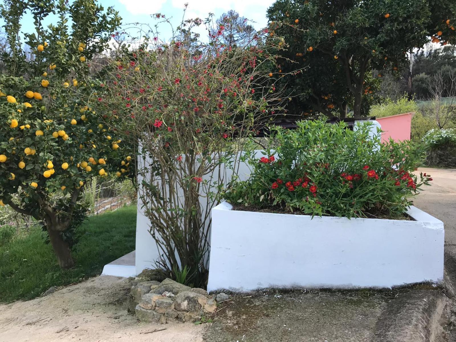 Casas Bemposta Monchique Exterior foto